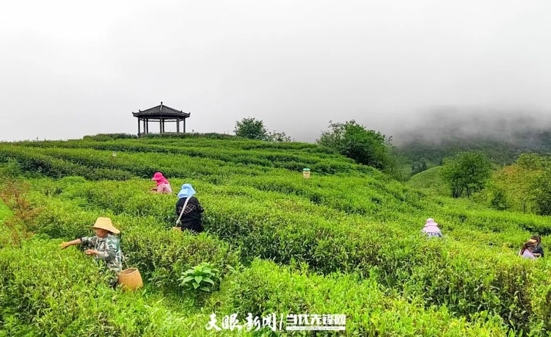 17490269341098.jpg k豆钱包