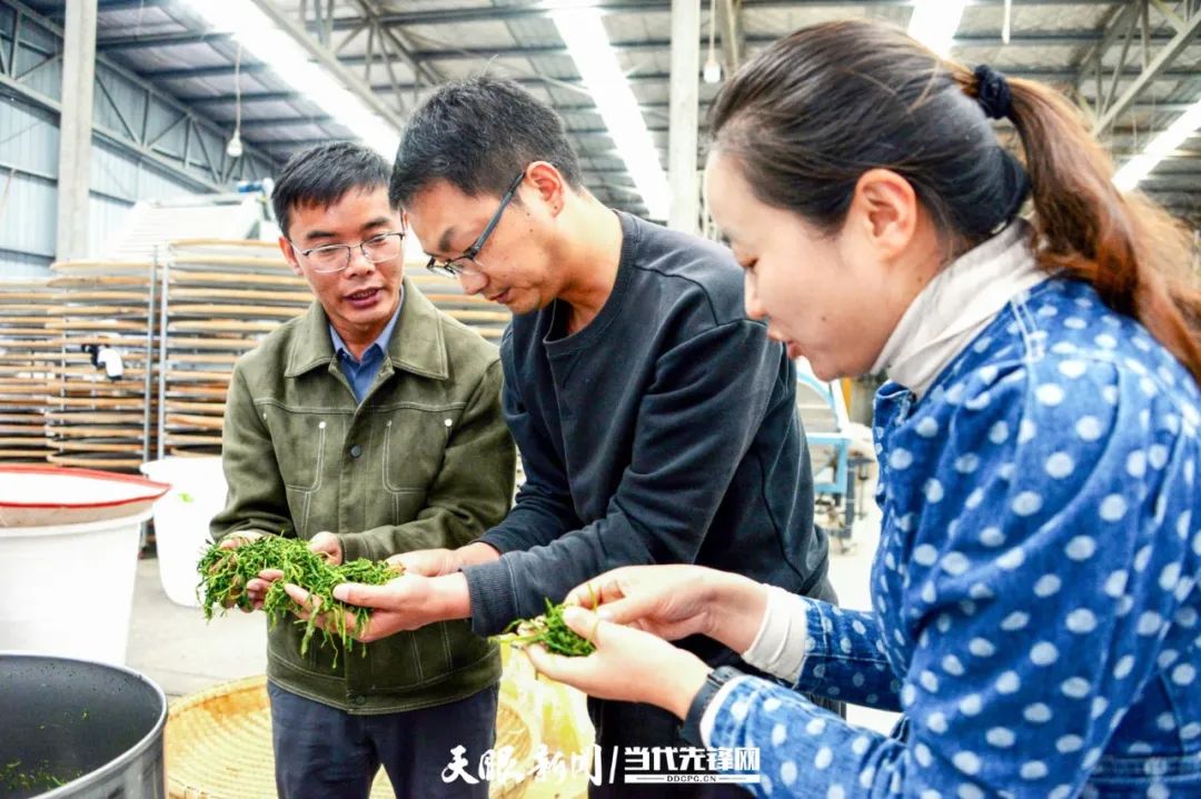 17490269335451.jpg k豆钱包