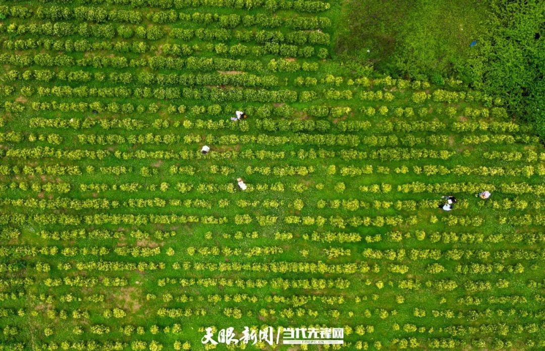 17490269346026.jpg k豆钱包